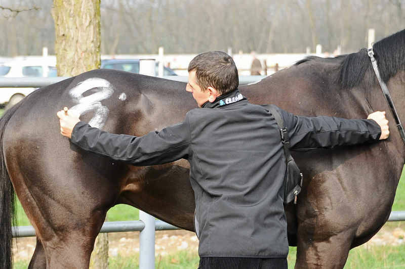 DSC 1486