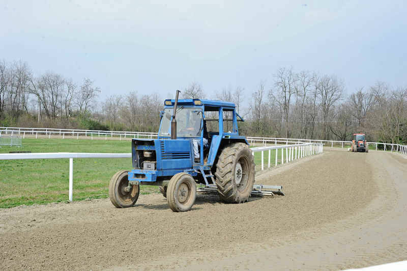 DSC 1754