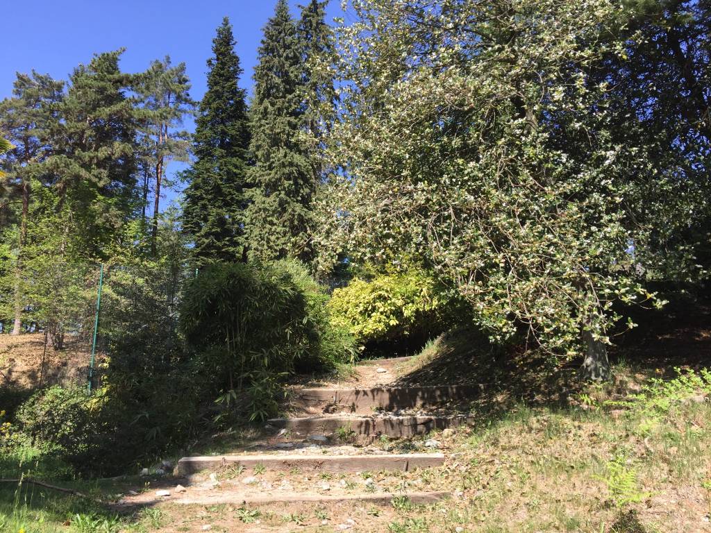 Giardini in arte al Monte Verità ascona