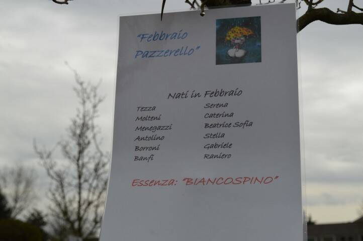 Giornata del Verde pulito Canegrate 2018  15 
