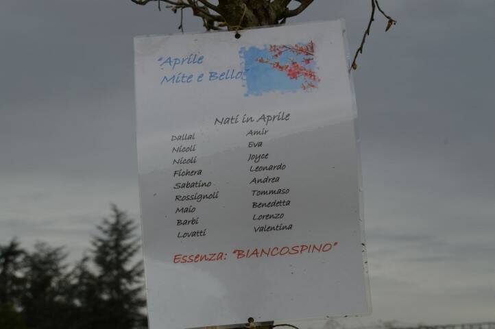 Giornata del Verde pulito Canegrate 2018  17 