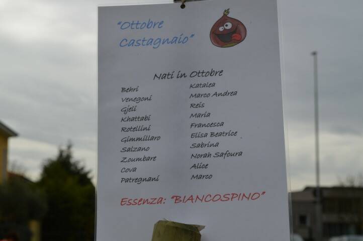 Giornata del Verde pulito Canegrate 2018  24 