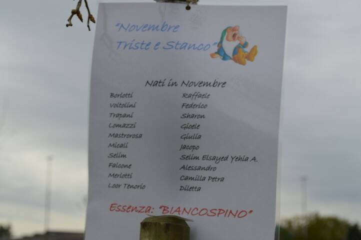 Giornata del Verde pulito Canegrate 2018  25 