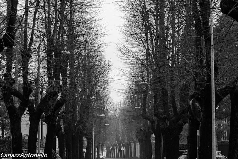 il viale dei Tigli e la scalinata di Crenna a Gallarate