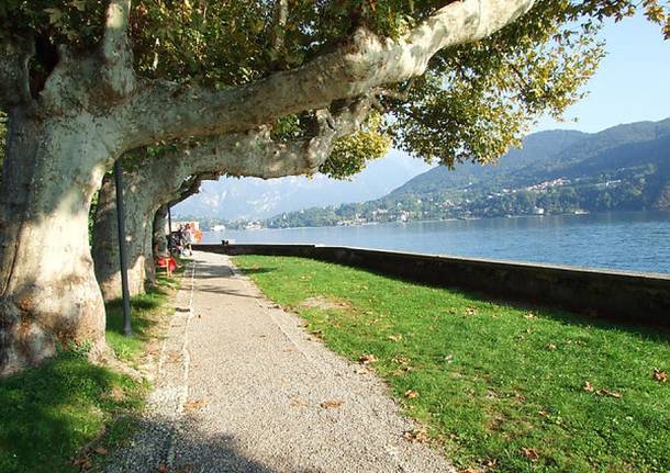 La greenway del lago di como