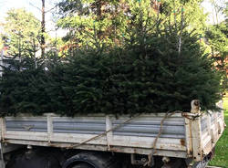 Lavena Ponte Tresa - alberi di natale