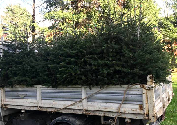 Lavena Ponte Tresa - alberi di natale