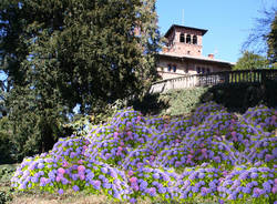 Le ortensie "abbracciano" Villa Montevecchio