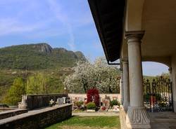 Monte San Giorgio: tra montagna e "vecchi" tropici