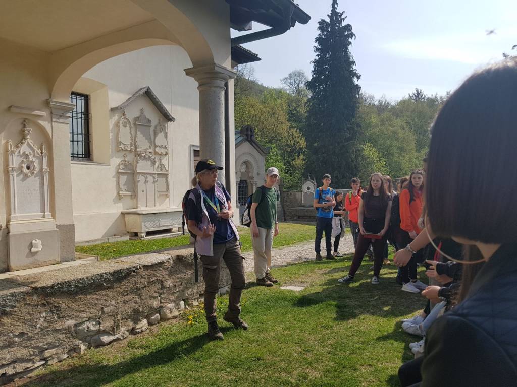 Monte San Giorgio: tra montagna e "vecchi" tropici
