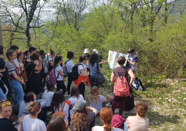 Monte San Giorgio: tra montagna e "vecchi" tropici