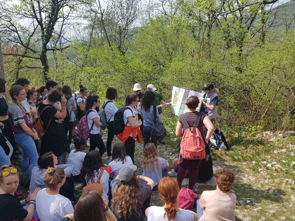 Monte San Giorgio: tra montagna e "vecchi" tropici