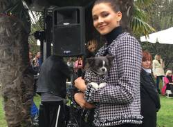 Pet fashion alla Varese design week
