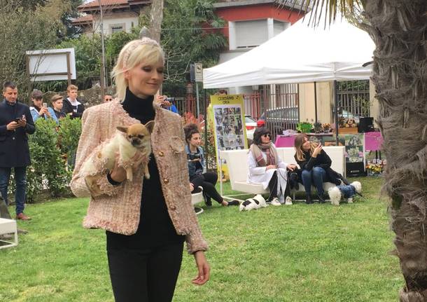 Pet fashion varesina alla Varese design week