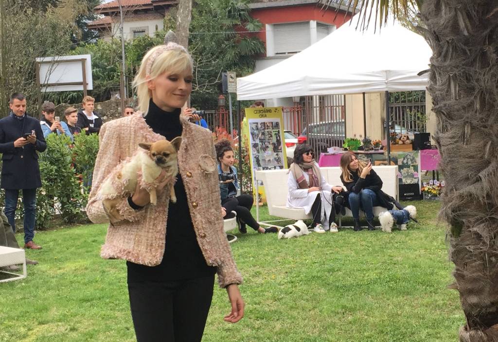 Pet fashion alla Varese design week