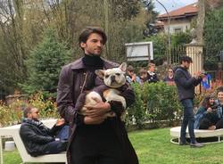 Pet fashion alla Varese design week