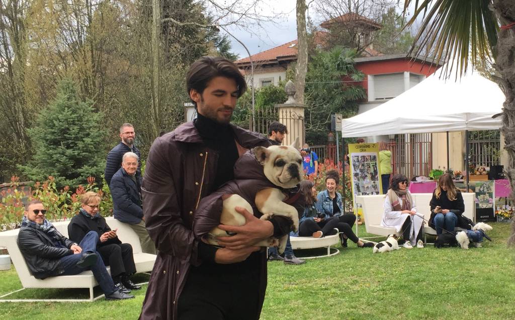 Pet fashion alla Varese design week