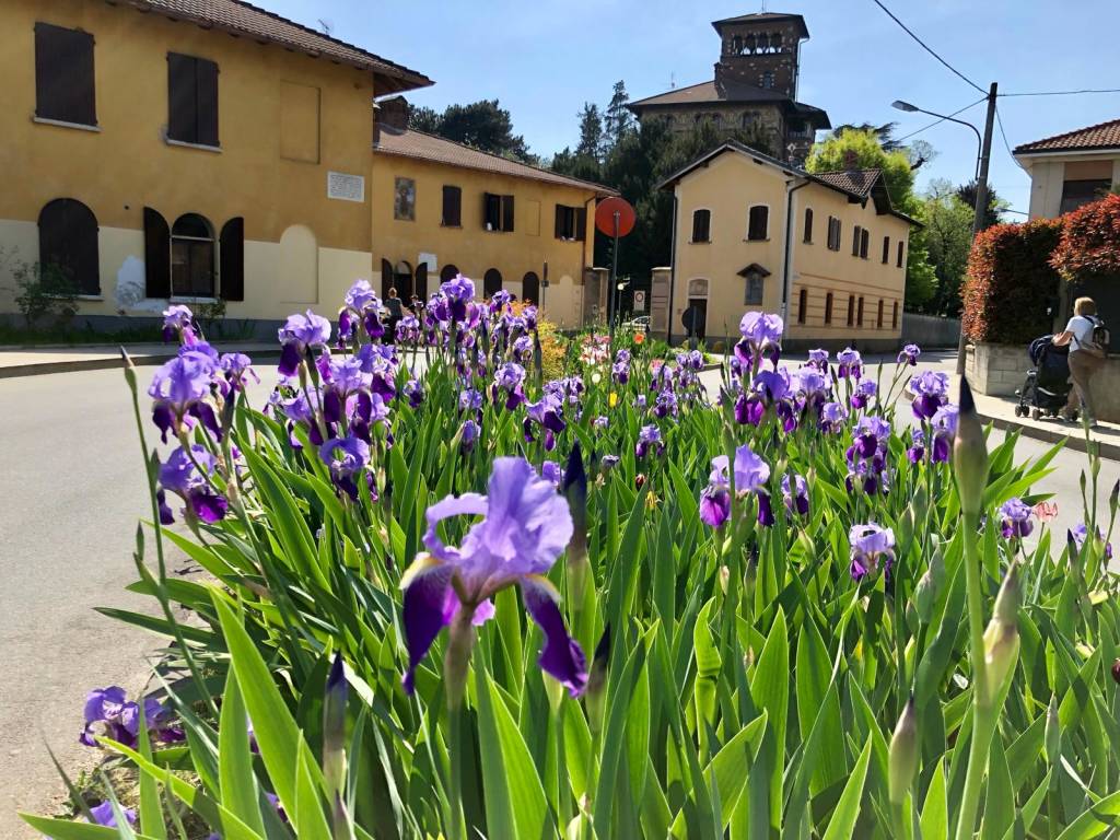 Samarate generica generiche 