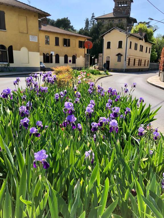 Samarate generica generiche 