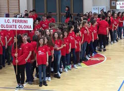 squadra ginnastica istituto ferrini olgiate olona