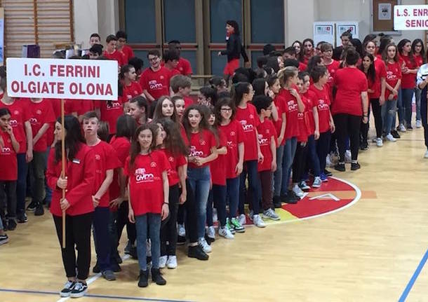 squadra ginnastica istituto ferrini olgiate olona