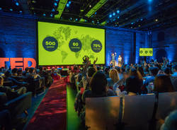 ted fest