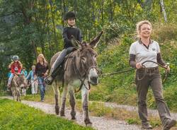 trekking con gli animali in valle di blenio