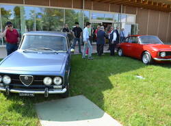 alfa arese1