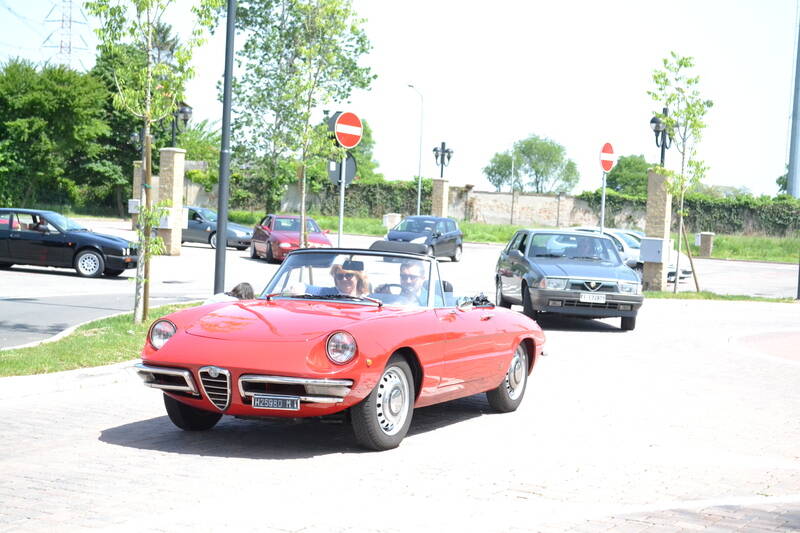alfa arese2