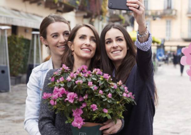 azzalee per la ricerca