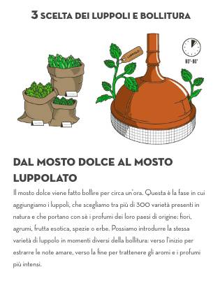 Birrificio Angelo Poretti, la produzione della birra