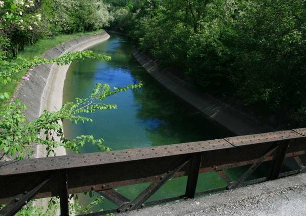 brughiera del dosso somma lombardo