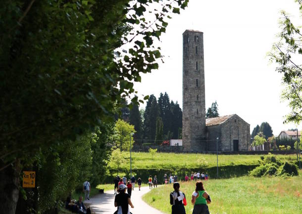 Cantello - Camminada tra i spargeer 2018