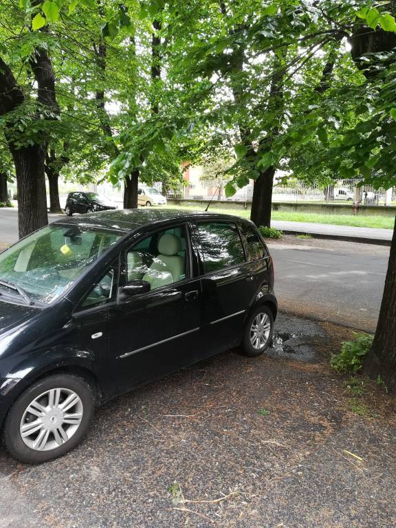 Piante Corso Leonardo da Vinci