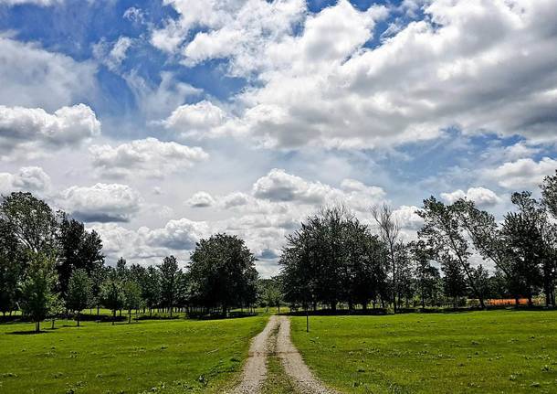 Le nuvole a Vizzola Ticino