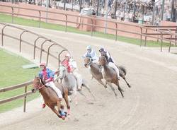 Palio di Legnano, le batterie