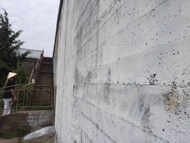 Nuovo murales in viale Europa