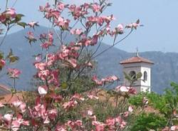 Concorso "La tua Primavera", tutte le foto - 10