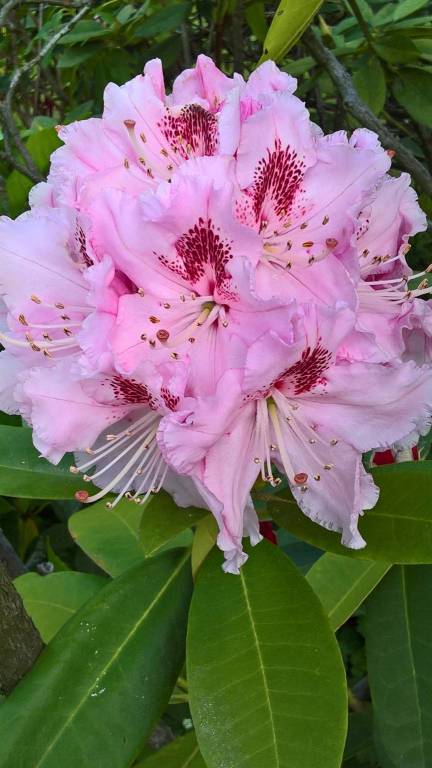 Concorso "La tua Primavera", tutte le foto - 13