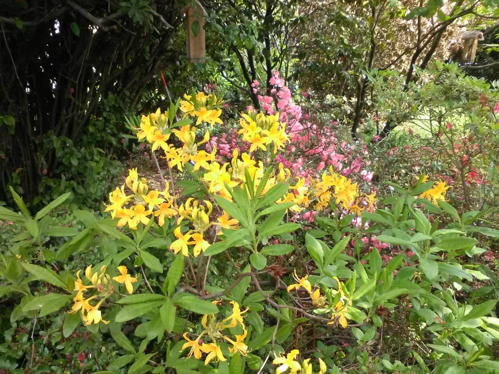 Concorso "La tua Primavera", tutte le foto - 14