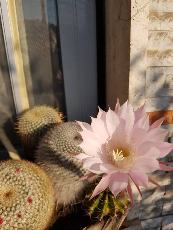 Concorso "La tua Primavera", tutte le foto - 14