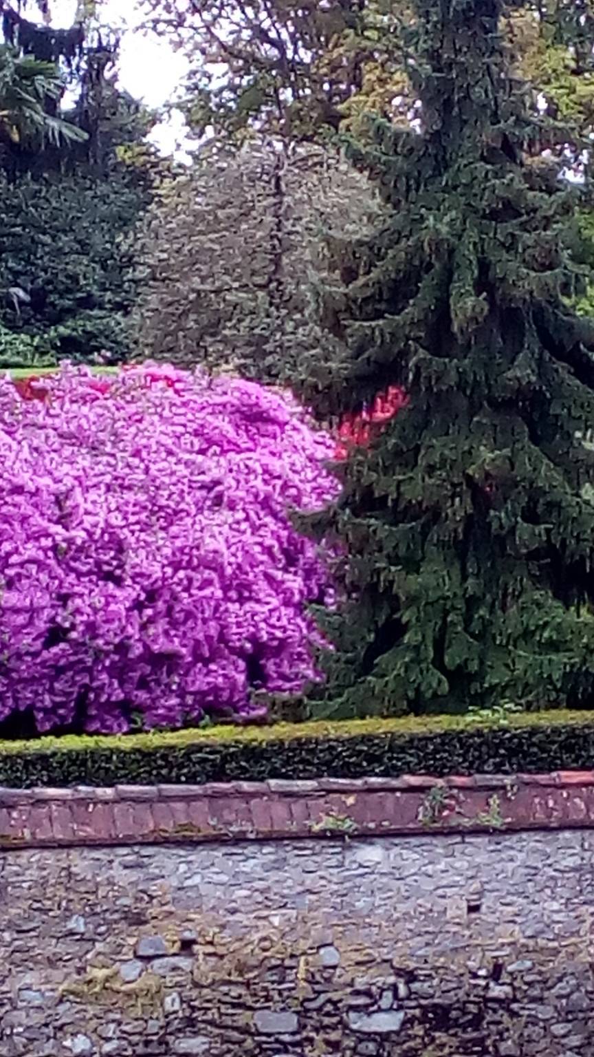 Concorso "La tua Primavera", tutte le foto - 14