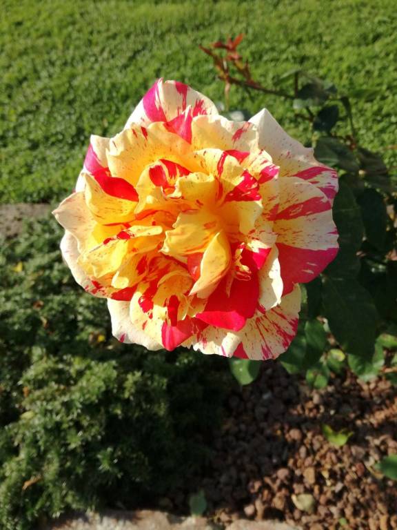 Concorso "La tua Primavera", tutte le foto - 14
