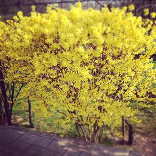 Concorso "La tua Primavera", tutte le foto - 14