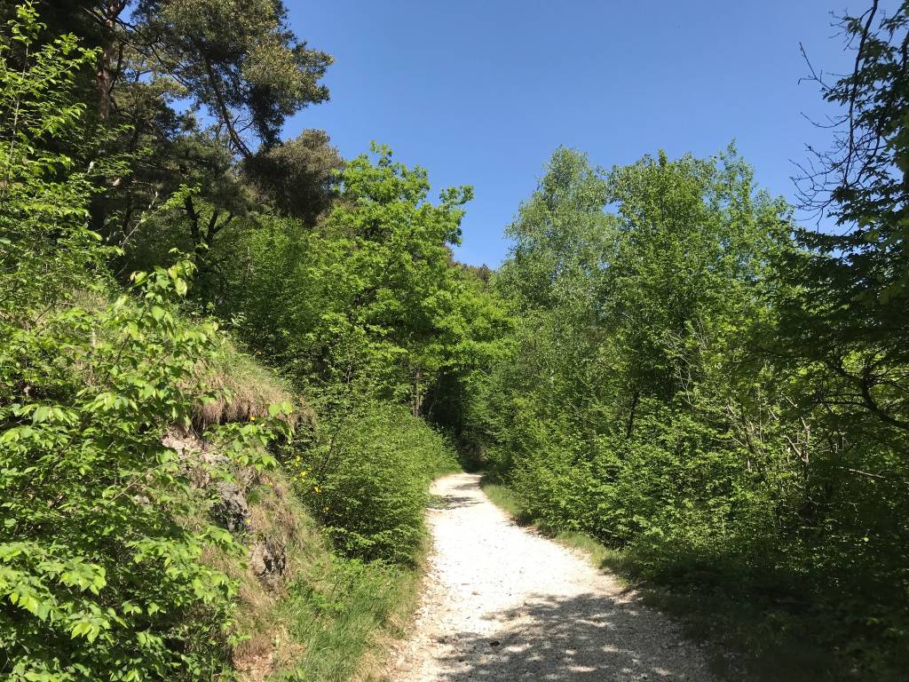 Da Induno a Sacro Monte 