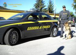 guardia di finanza cane antidroga