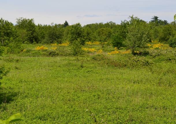 Il Campo della Promessa