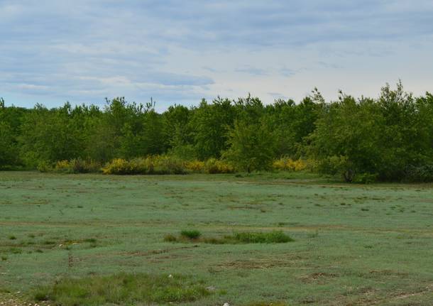 Il Campo della Promessa