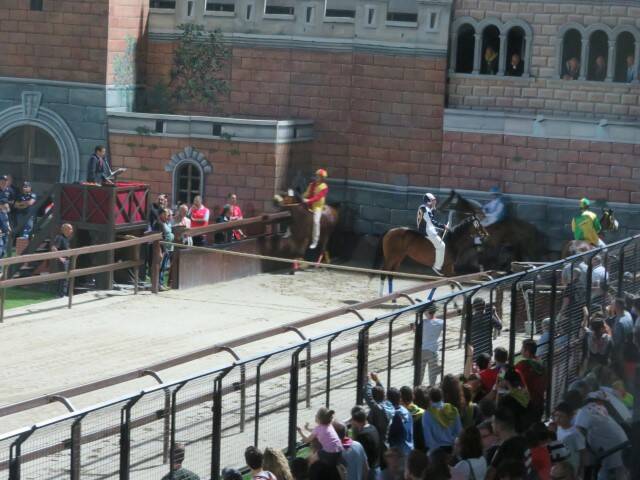 IMG 6952