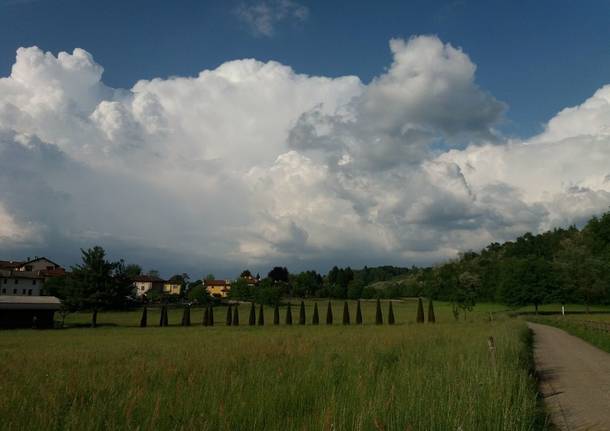 La piana di Vegonno